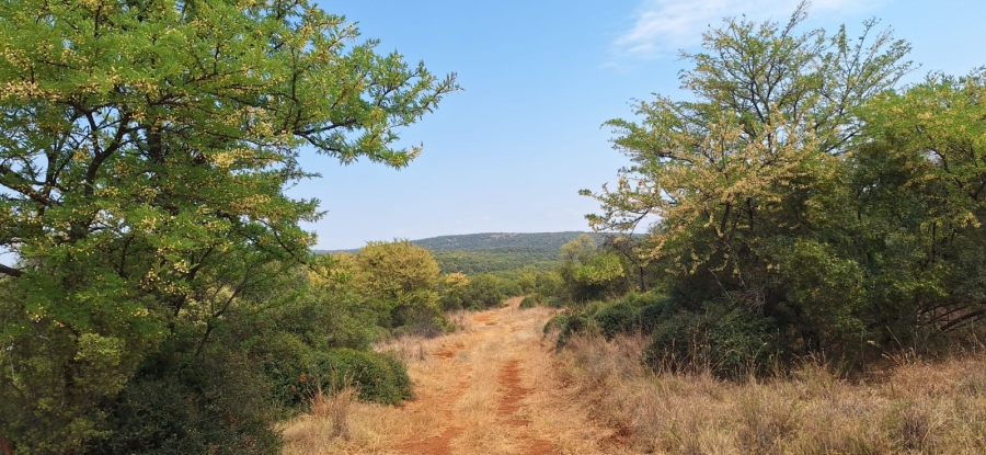 10 Bedroom Property for Sale in Swartruggens North West